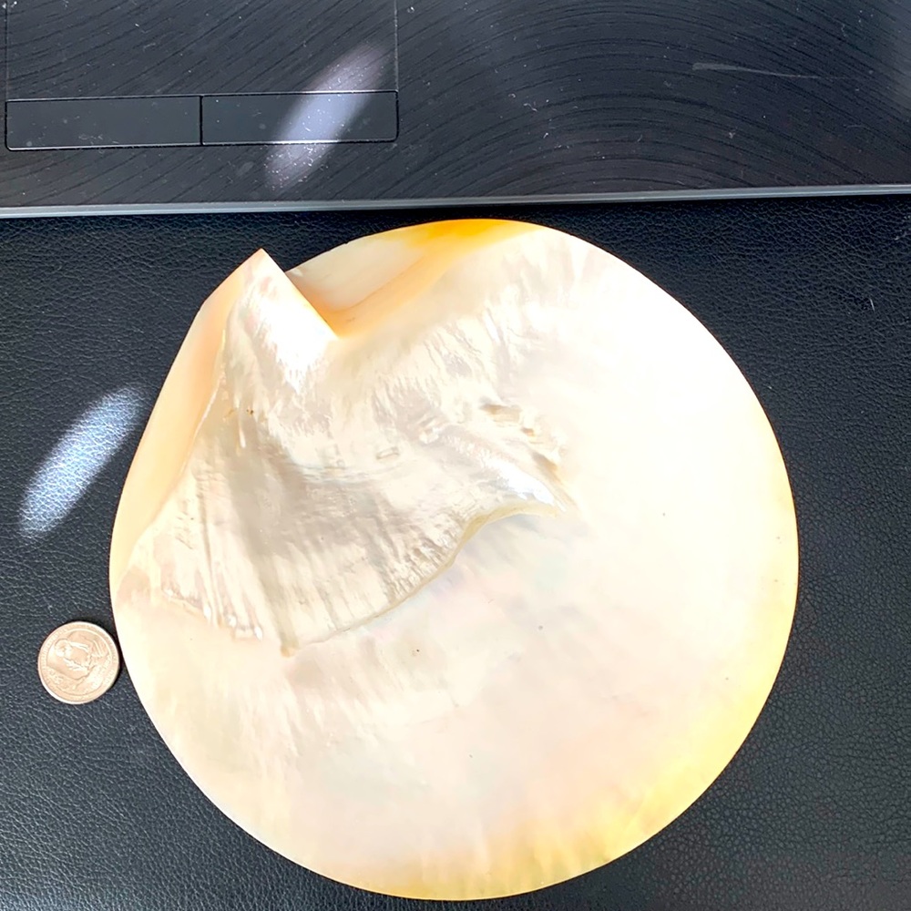 Mother of Pearl trinkel tray